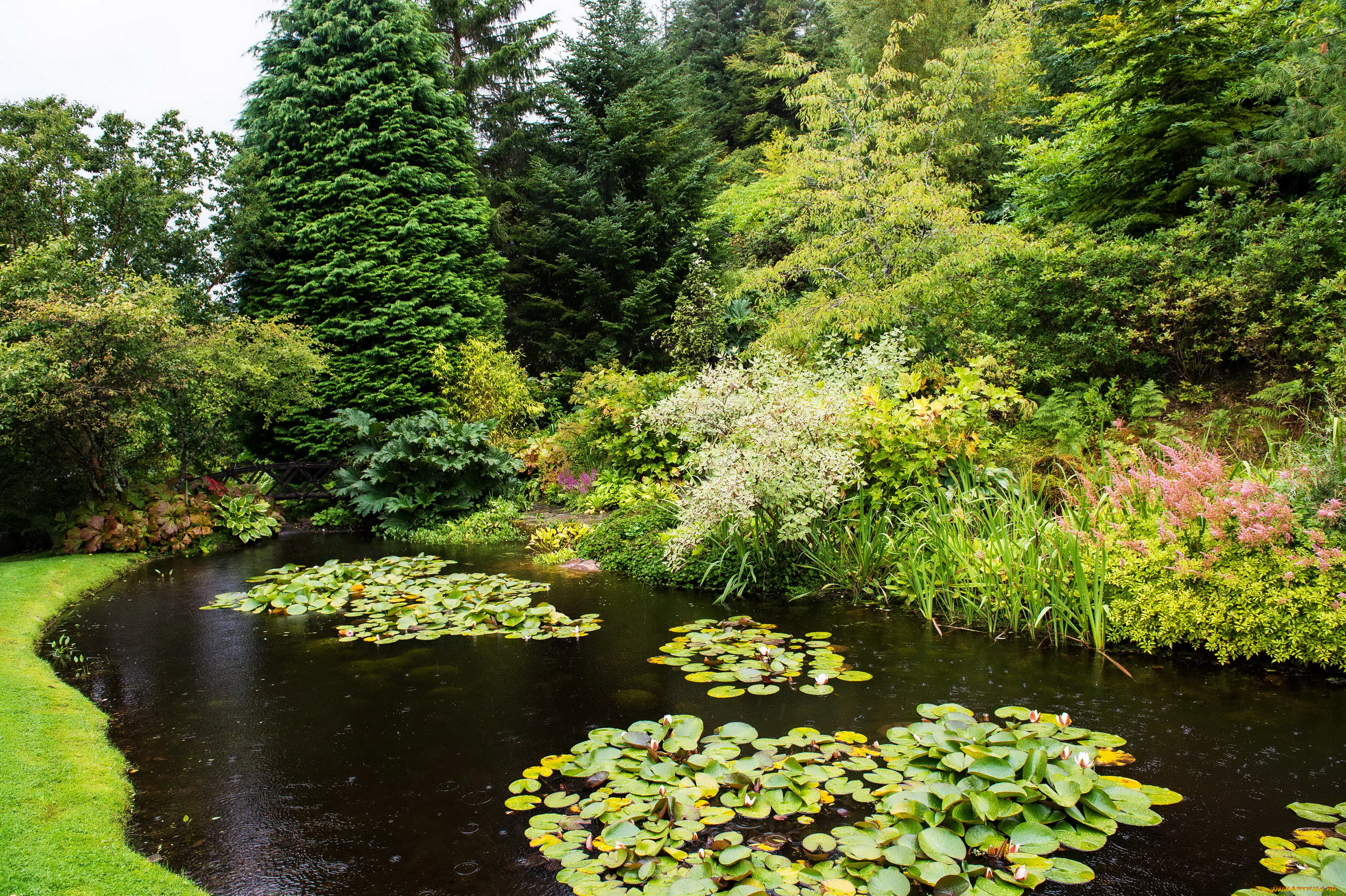 , , attadale, gardens, strathcarron, scotland